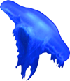 qualle_100x116